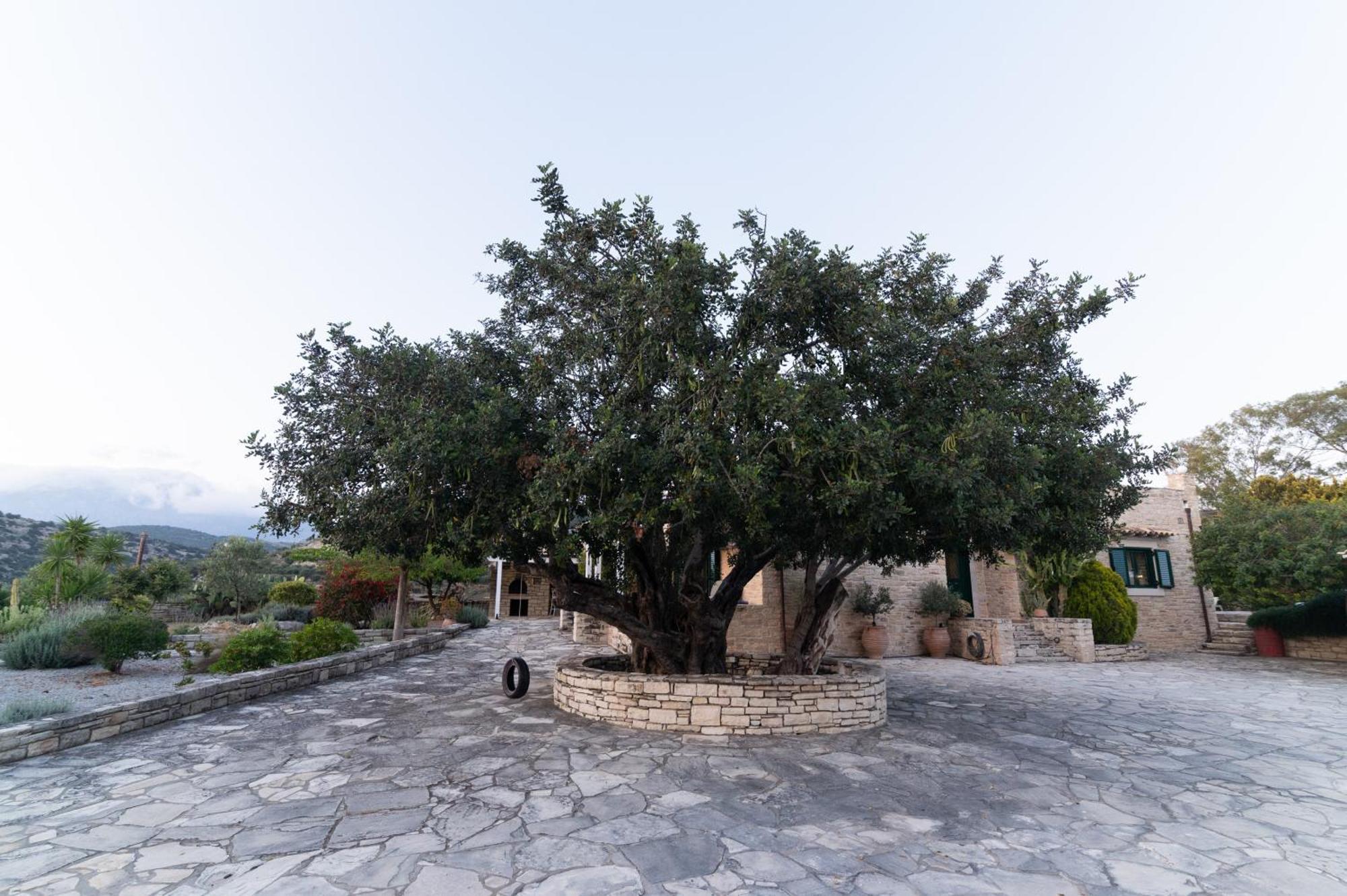 Carob Villa Moirai Exterior photo